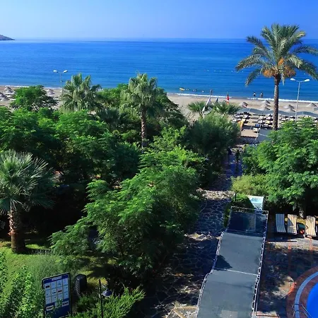 Club Cactus Paradise Hotel 4*