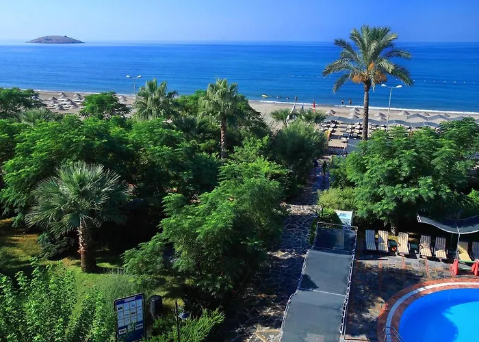 Club Cactus Paradise Hotel 4*
